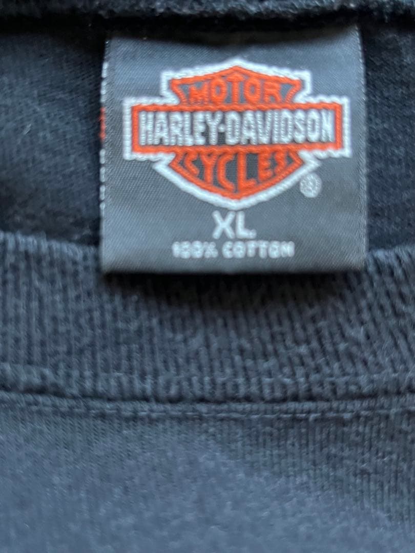 HARLEY-DAVIDSONレッドフレイム　ロンT