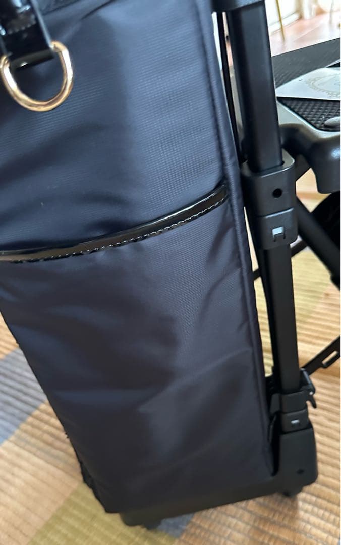 専用になっています。キャリーバック　Hello Kitty