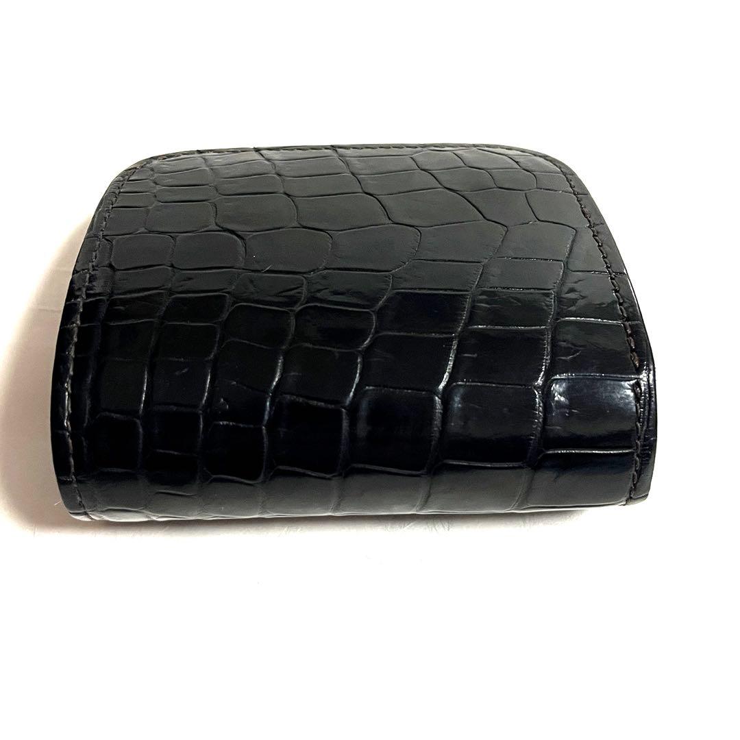 ワイルドスワンズ クロコダイル カーサ WILDSWANS CASA 肚センター