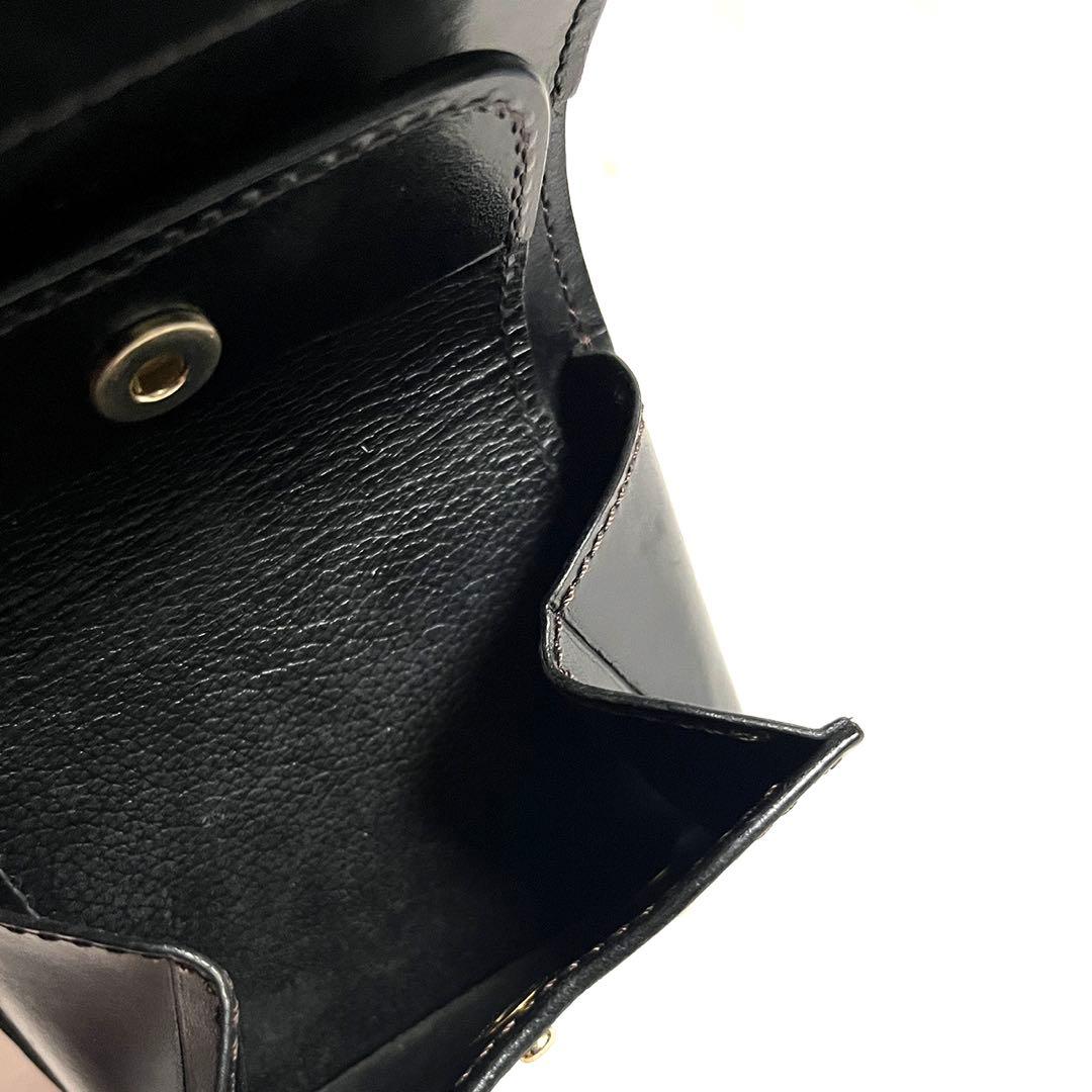 ワイルドスワンズ クロコダイル カーサ WILDSWANS CASA 肚センター