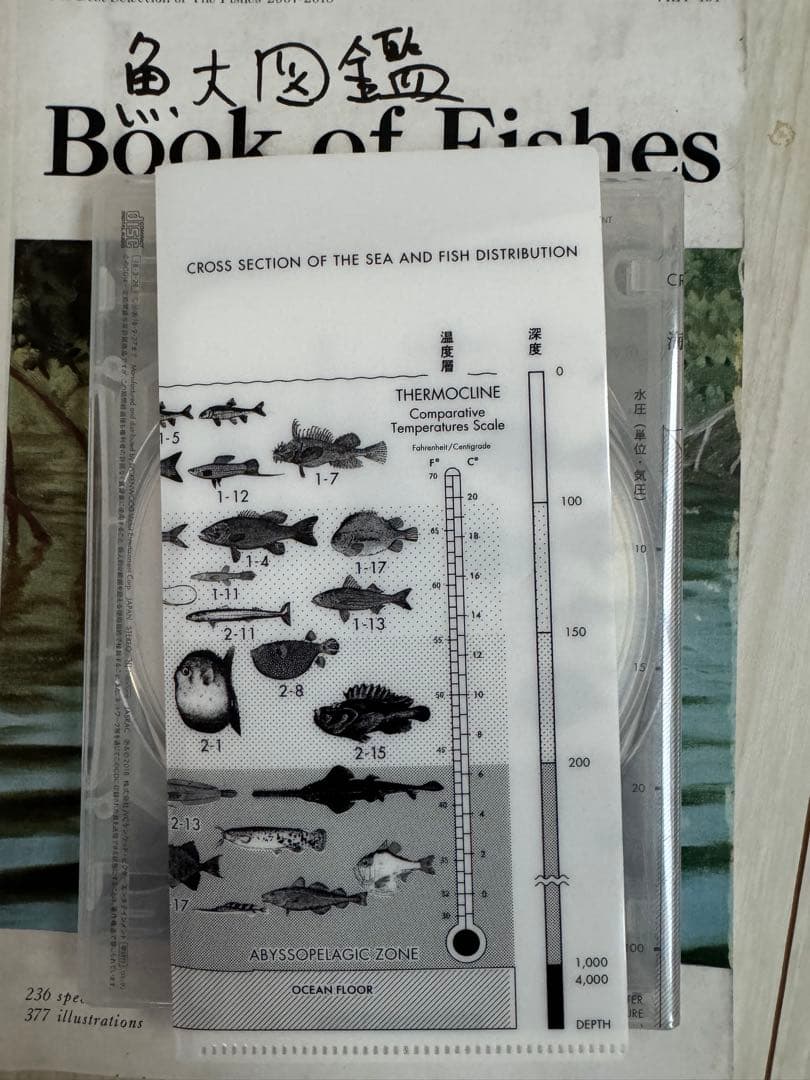 サカナクション CD 完全生産限定盤プレミアムBOX 魚大図鑑