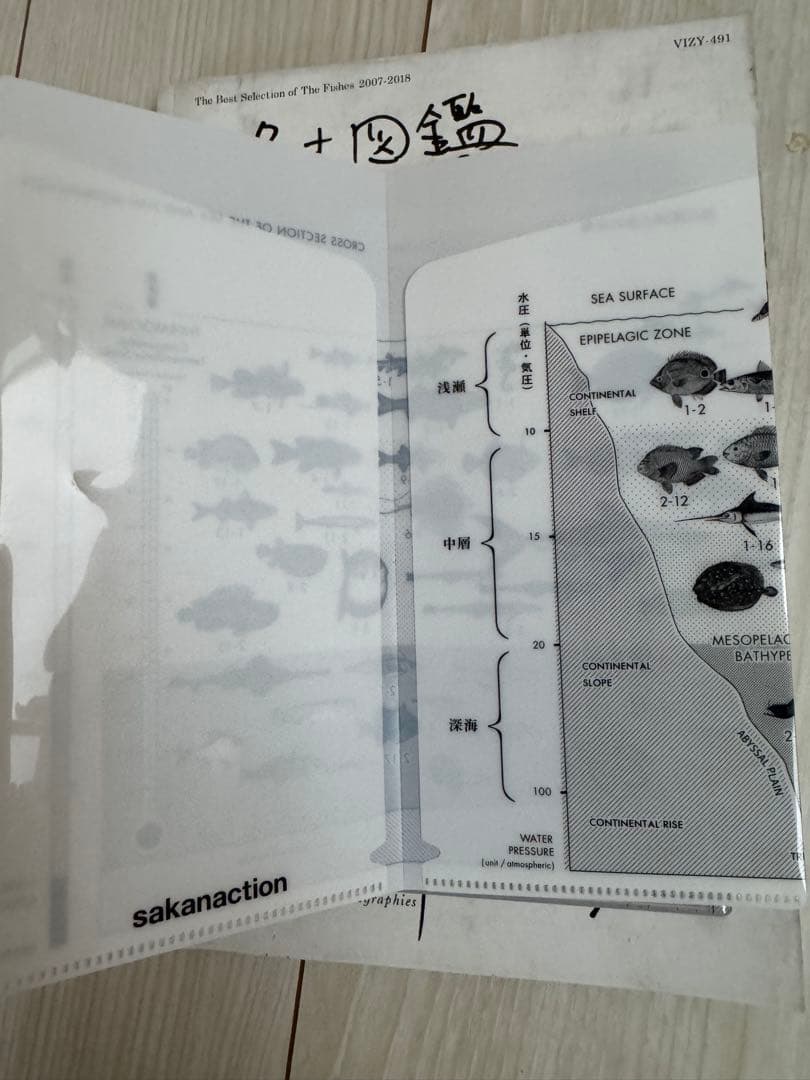 サカナクション CD 完全生産限定盤プレミアムBOX 魚大図鑑