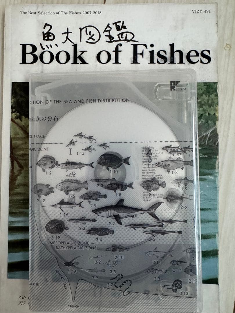 サカナクション CD 完全生産限定盤プレミアムBOX 魚大図鑑