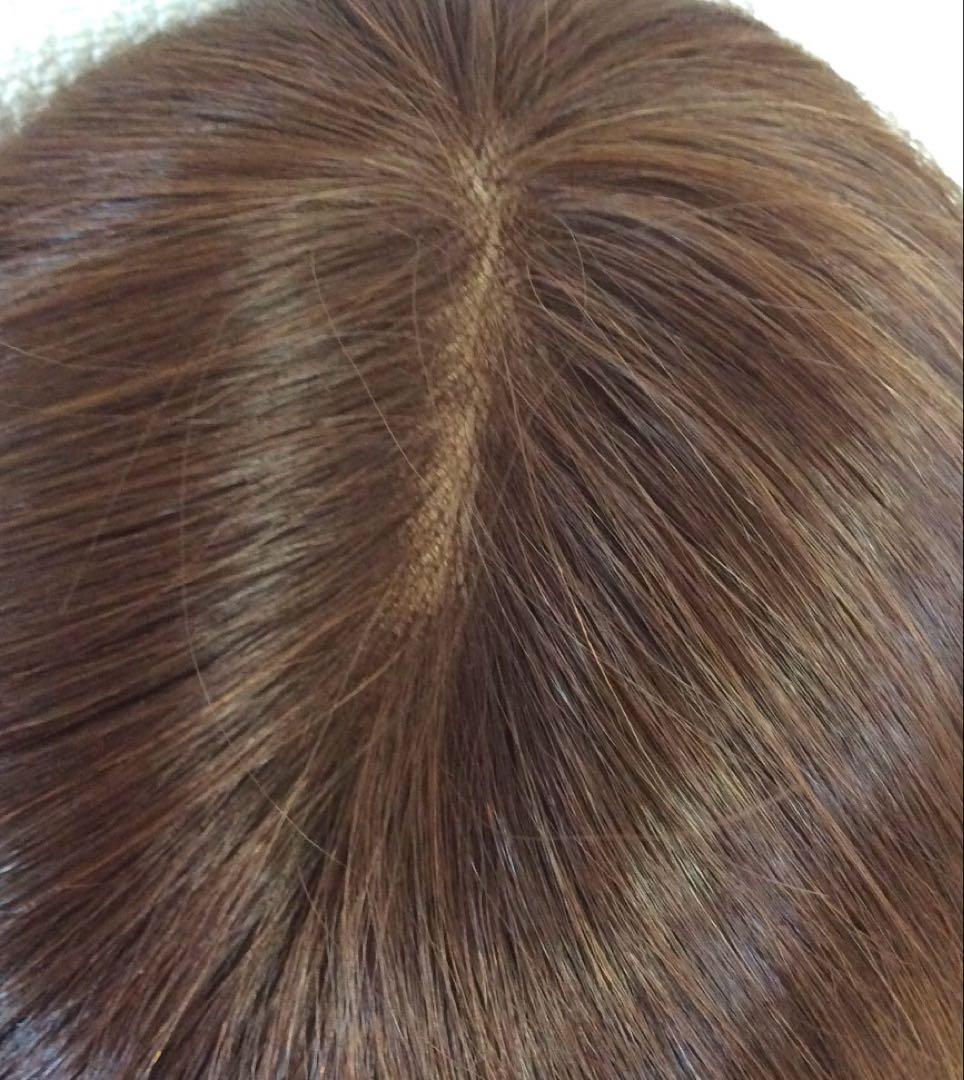 【とら】ライトブラウン２点