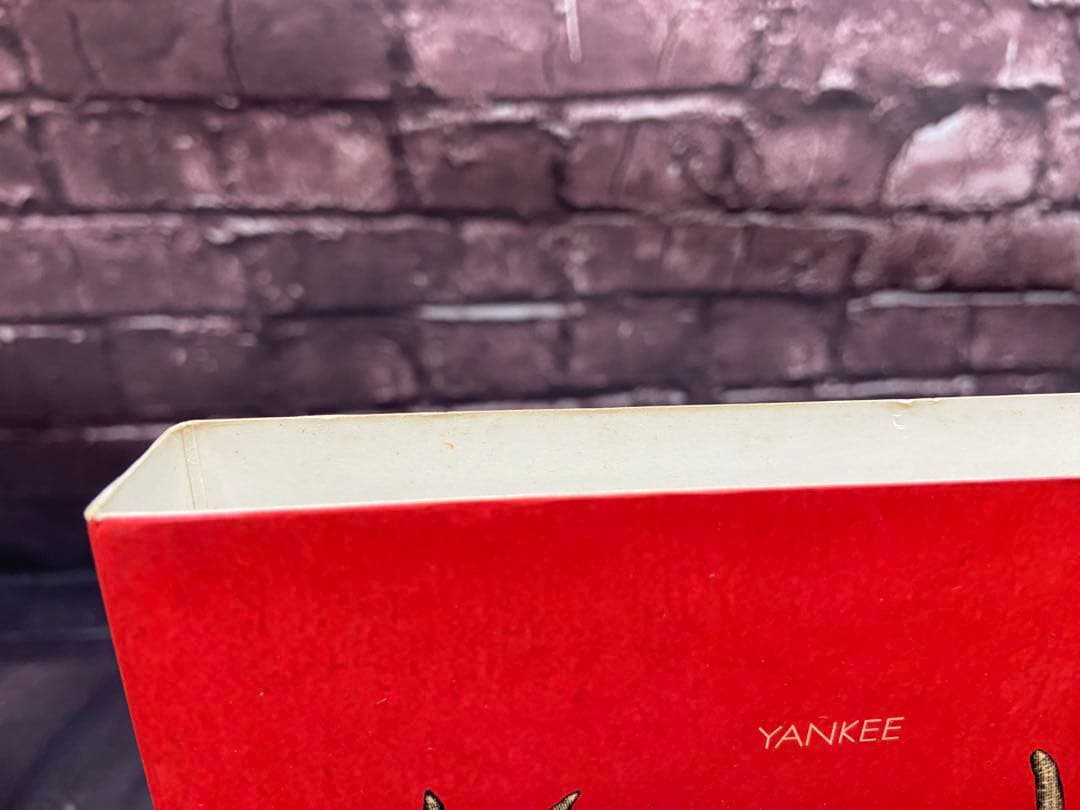 米津玄師　YANKEE 初回限定盤　画集盤　CD