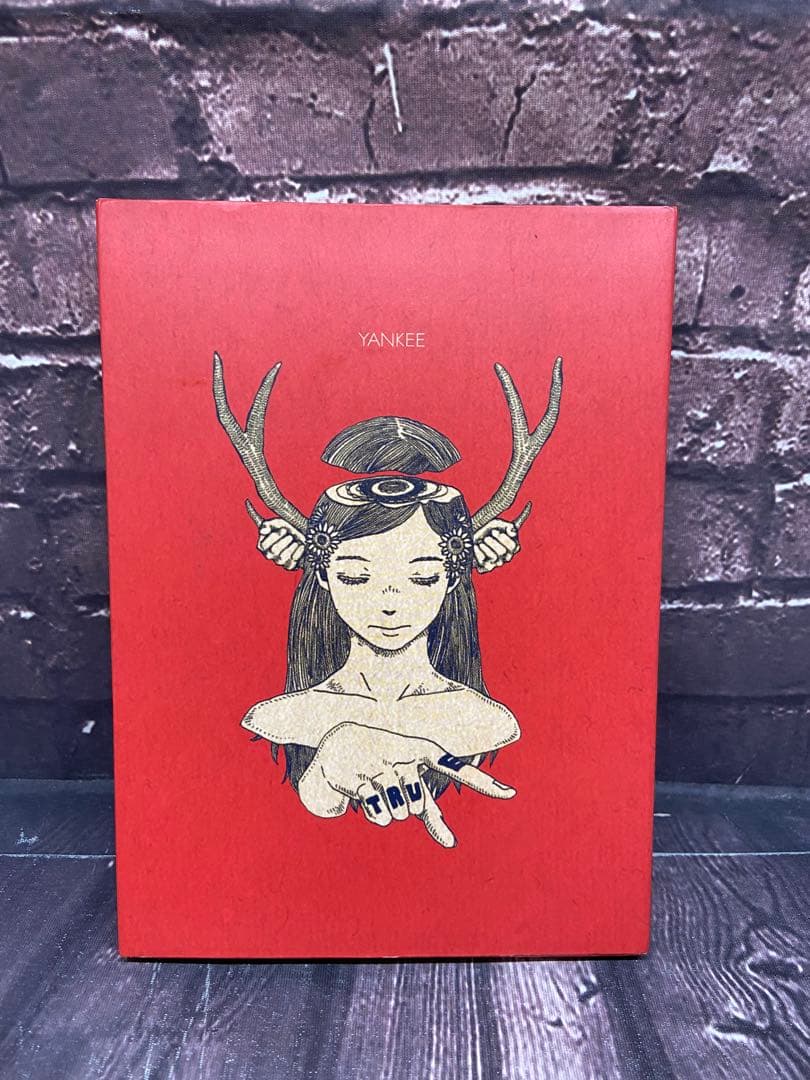 米津玄師　YANKEE 初回限定盤　画集盤　CD