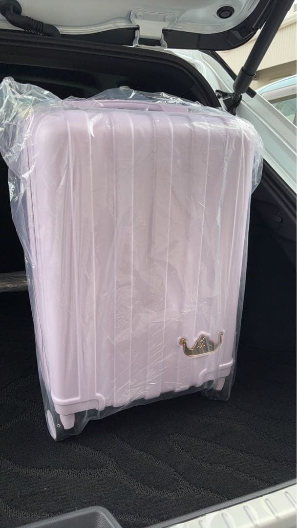 M*2様 未使用 ちはる コラボ　ディズニー　しまむら　ハッピーバッグ　ラプンツ