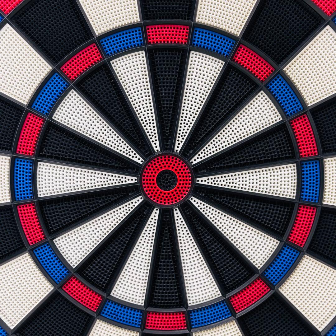 DARTSLIVE  ポール付き　ダーツ　ホーム