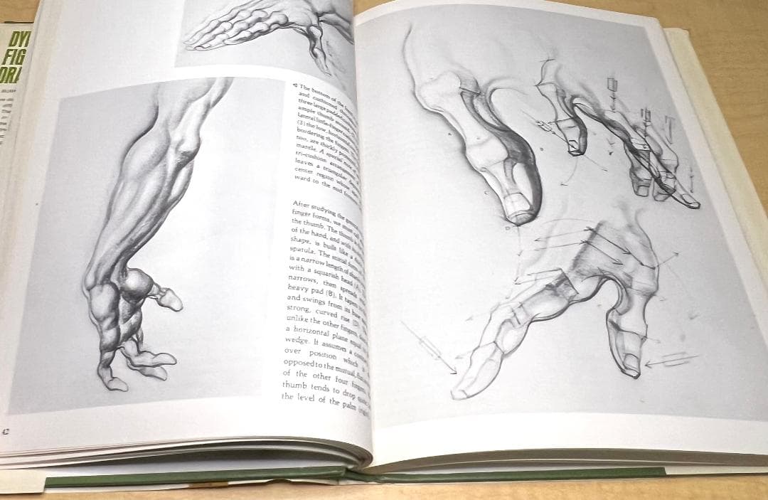 アート・デザイン・音楽 Dynamic figure drawing by Burne Hogarth