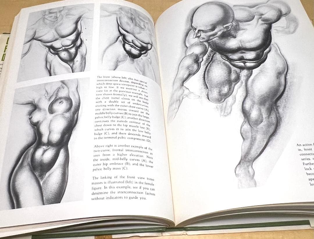 アート・デザイン・音楽 Dynamic figure drawing by Burne Hogarth