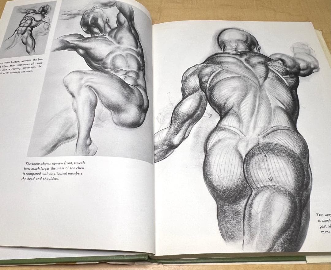 アート・デザイン・音楽 Dynamic figure drawing by Burne Hogarth