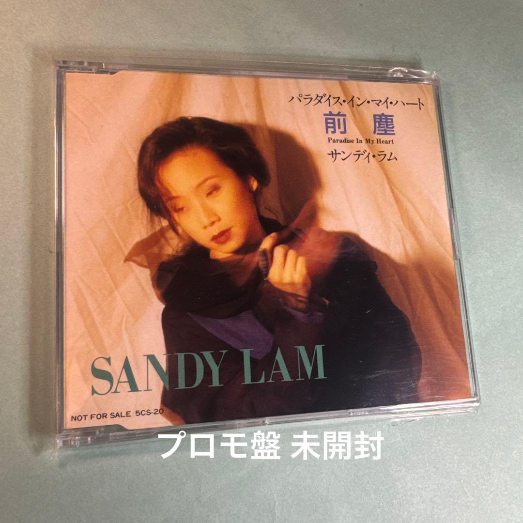 サンディ・ラム SANDY LAM／パラダイス・イン・マイ・ハート