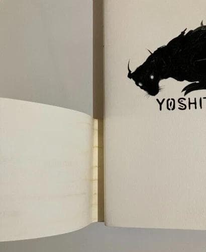 美天: 天野喜孝画集 初版本 帯付き 1999年 アート イラストレーションズ