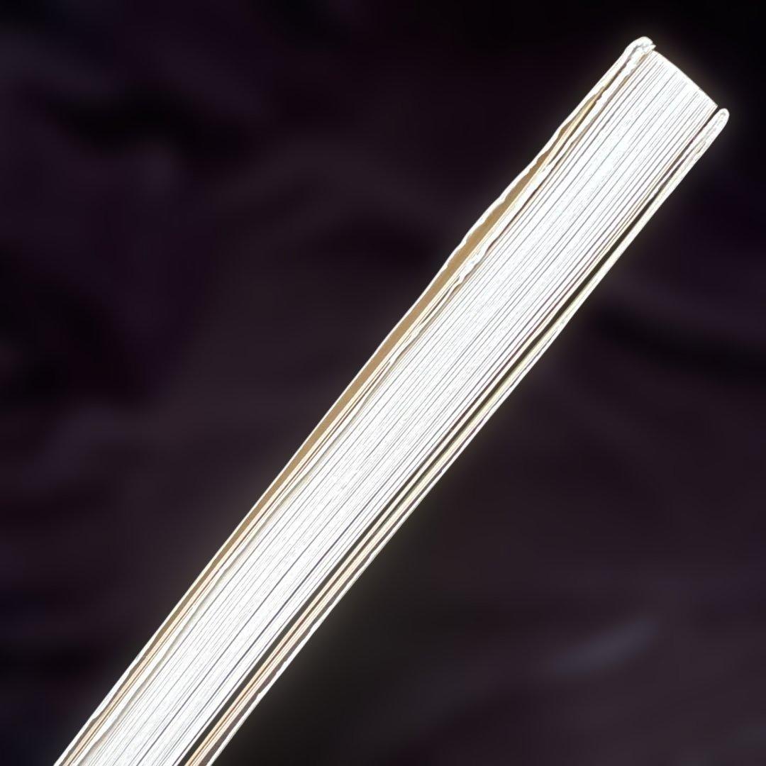 「ごんぎつね」の読み方指導