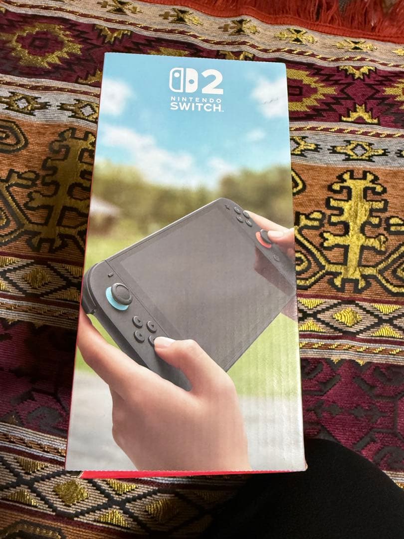 Nintendo Switch D2 本体 日本語専用