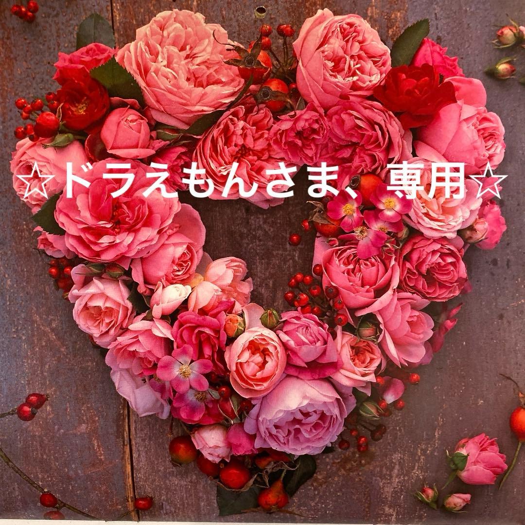 ☆ドラえもんさま、専用☆MIKIMOTO ７m珠パールネックレス☆シルバー☆