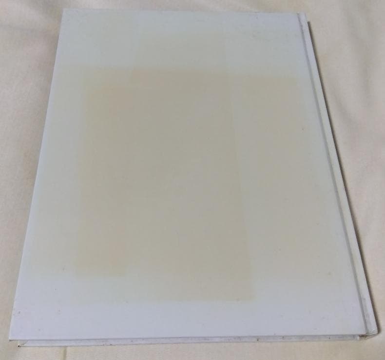 世界のグラフィックデザイン1 ヴィジュアルコミュニケーション