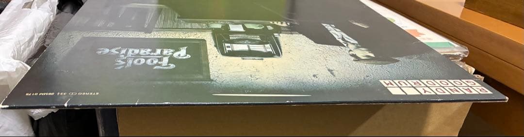 Death gA.Franklin &R.goodrum LP２枚セット