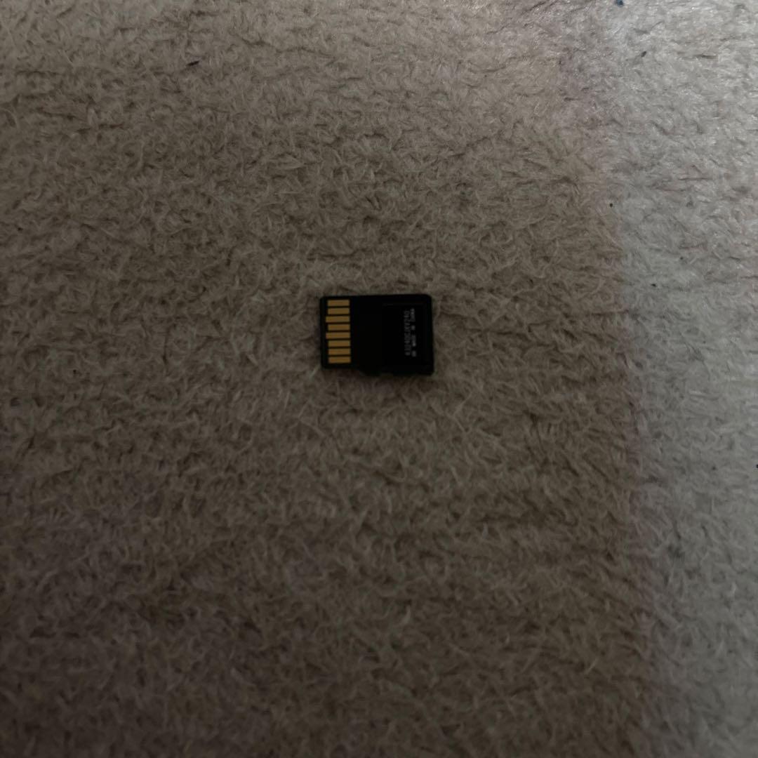 【0:10出品終了】Switch Lite ハイラル&512GBのSDセット