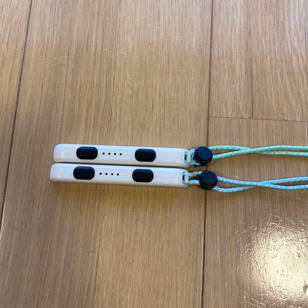 ニンテンドーSwitchあつまれ動物の森セット