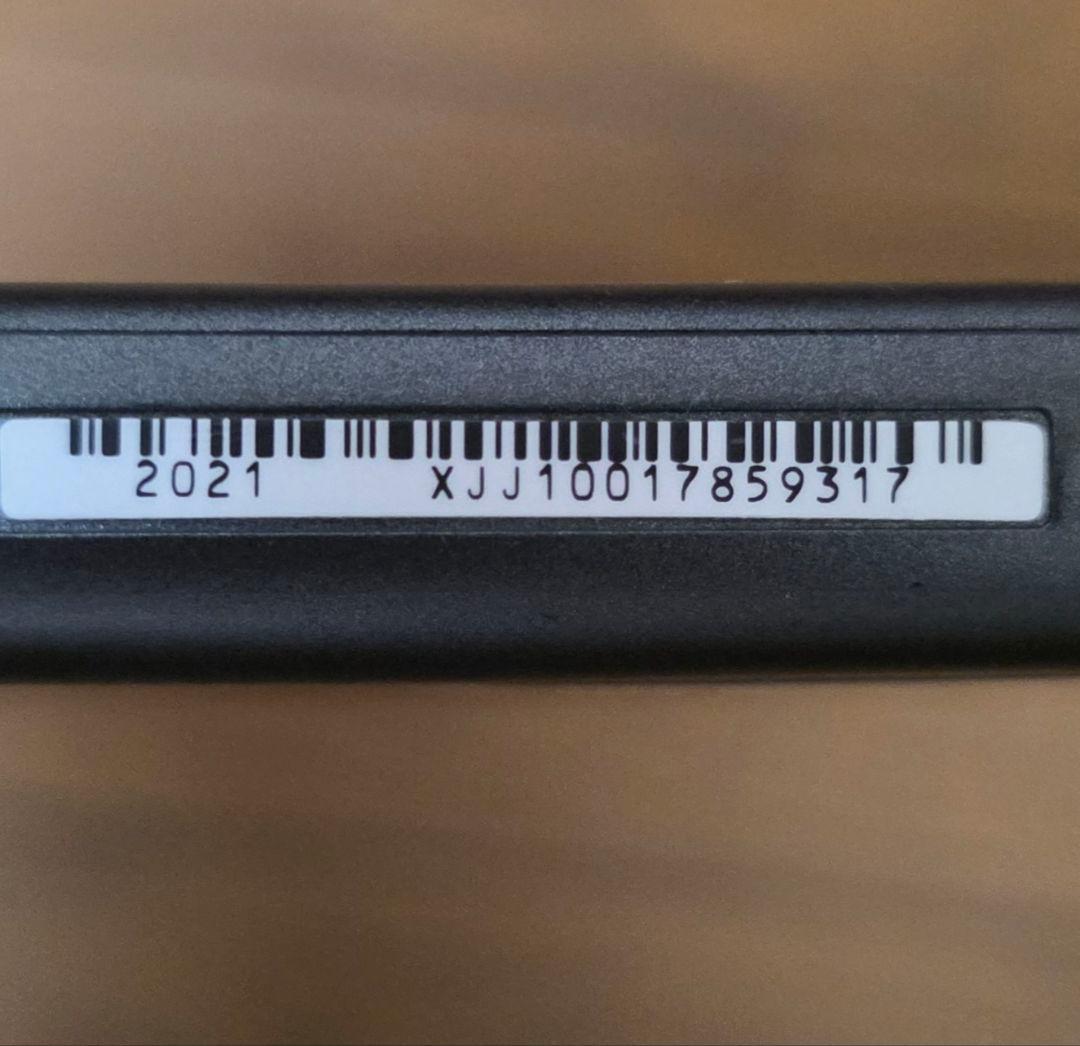 【動作確認済】ニンテンドー スイッチ ライト ディアルガ・パルキア 本体