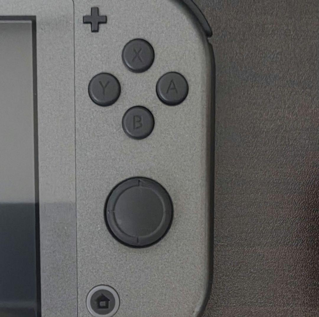 【動作確認済】ニンテンドー スイッチ ライト ディアルガ・パルキア 本体