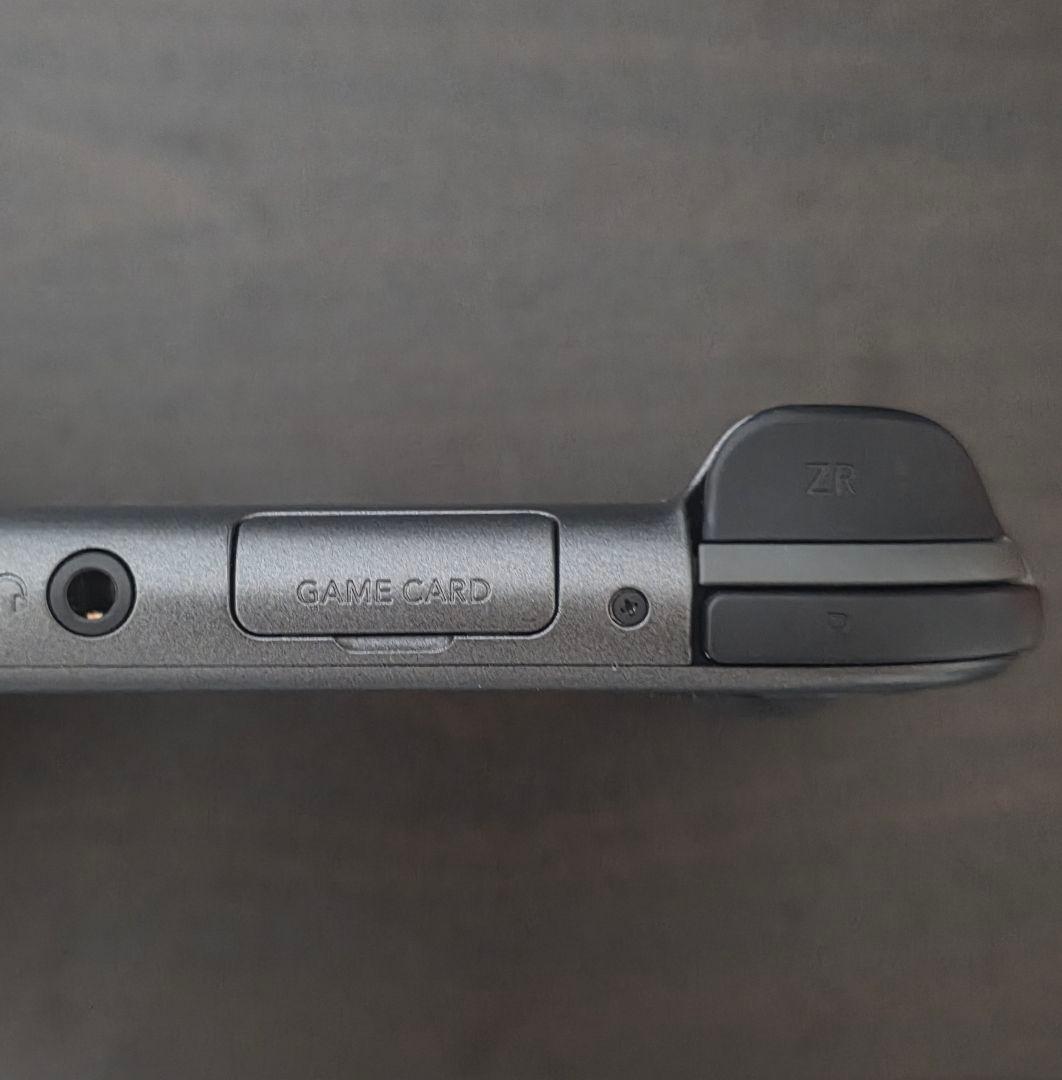 【動作確認済】ニンテンドー スイッチ ライト ディアルガ・パルキア 本体