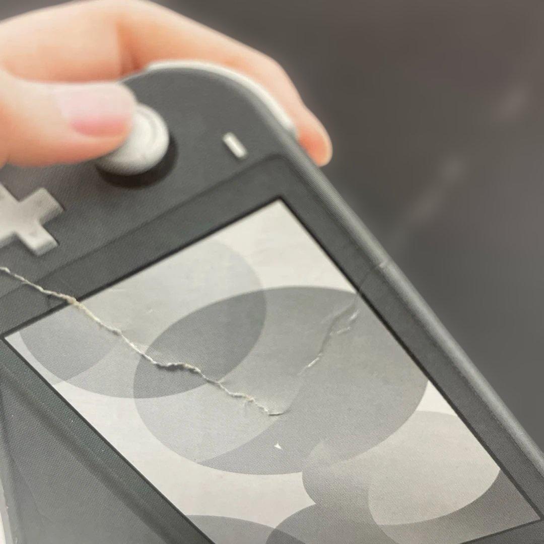 Nintendo Switch Lite グレー　ポケモンスカーレットソフト付