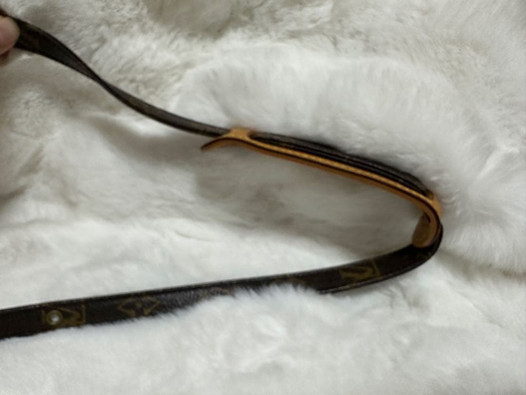 Louis Vuitton ルイヴィトン アマゾンショルダーバッグ