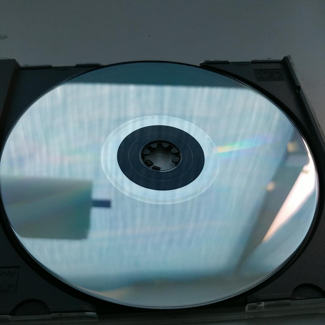 洋楽 Fleshcrawl Descend Into The Absurd CD