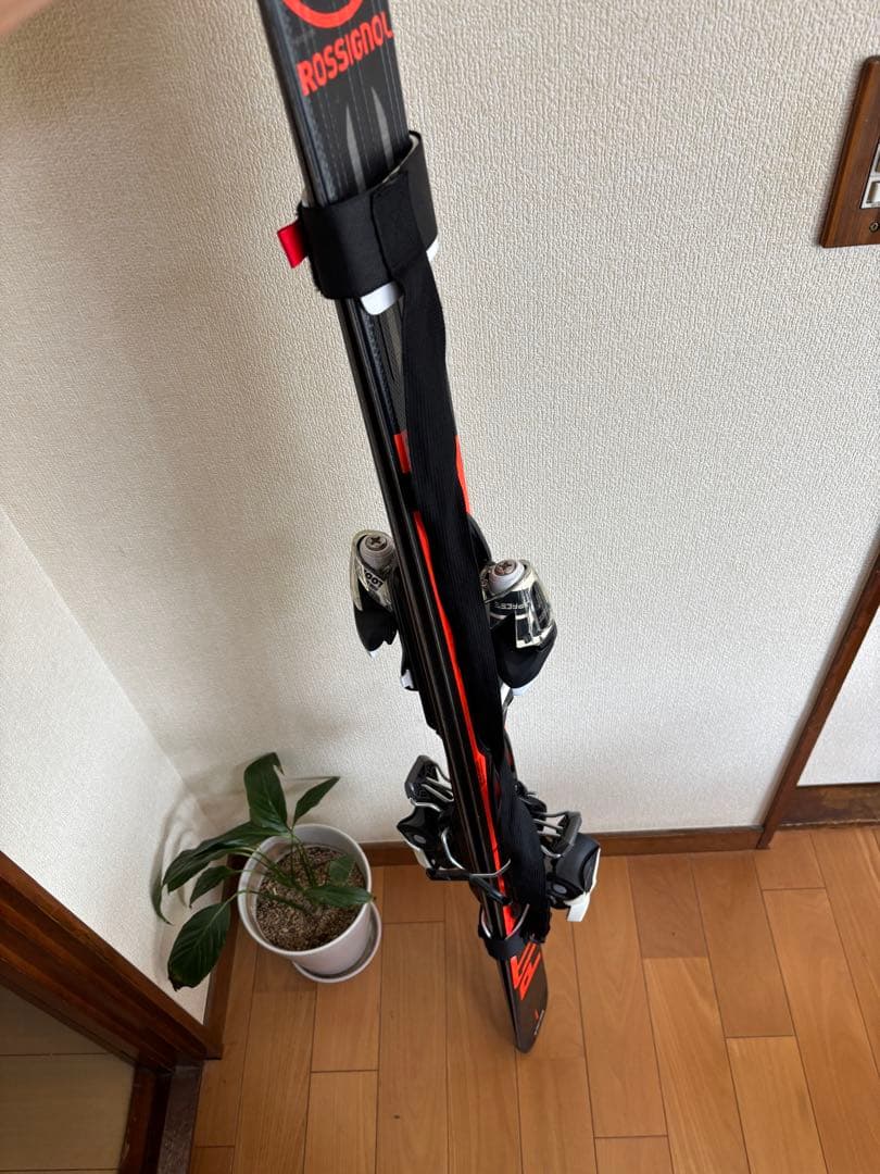 ロシニョール　パシュート100 スキー板　156センチ