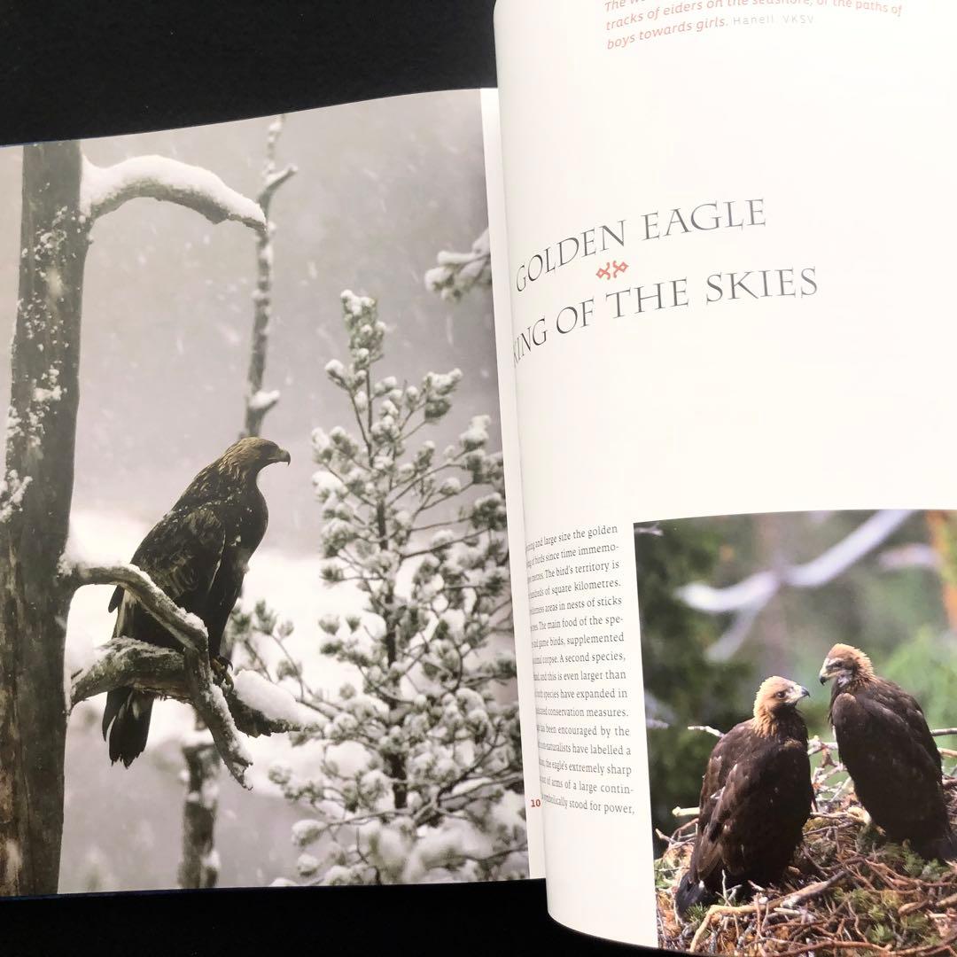 自然写真家 ハンヌハウタラ 写真集 Nature in the Kalevala