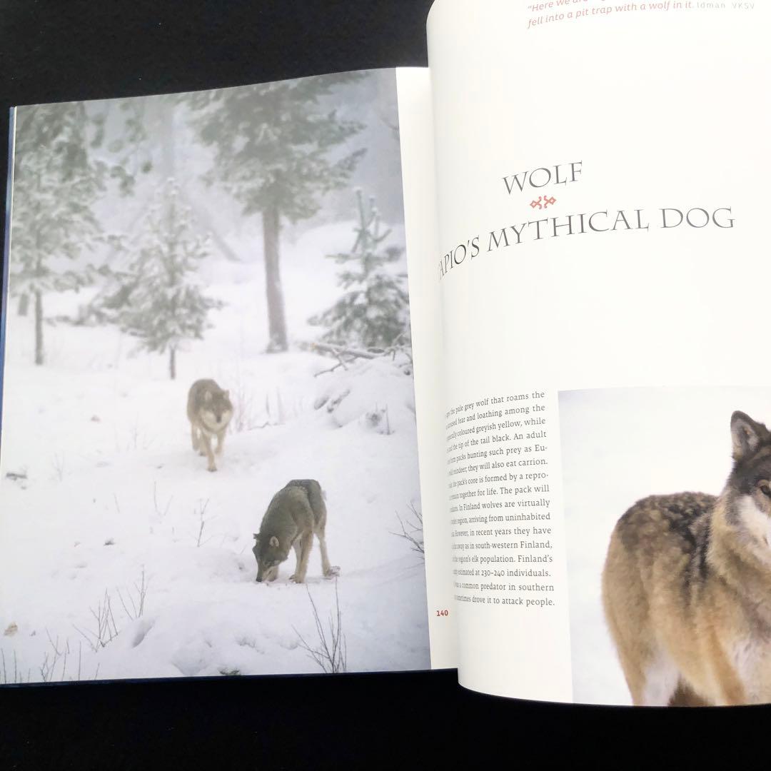 自然写真家 ハンヌハウタラ 写真集 Nature in the Kalevala