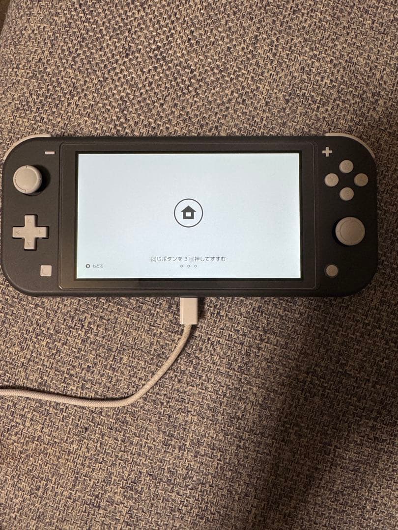 Nintendo Switch Lite グレー 本体 のみ