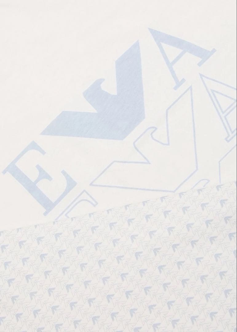 y*様 【新品未使用】エンポリオ アルマーニ ロゴプリント 両面コットンブランケ