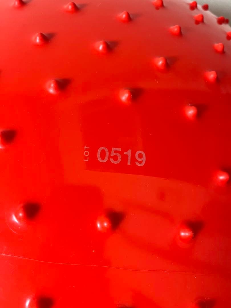 ギムニク触覚ボール 100cm