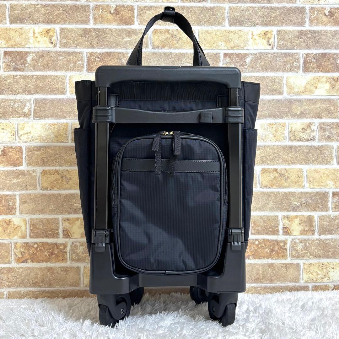 【美品】 スワニー ルバンド キャリーバッグ グログランリボン Mサイズ 4輪