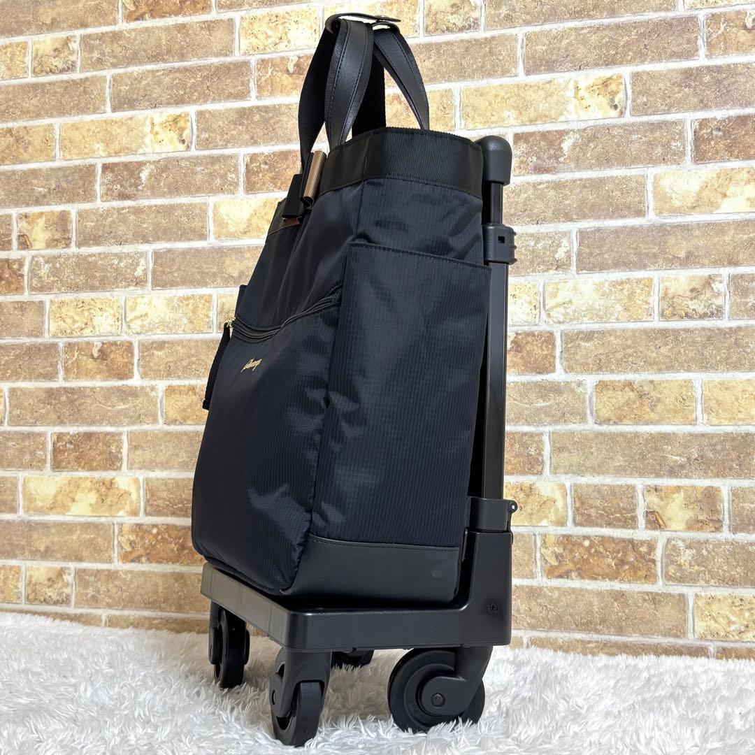 【美品】 スワニー ルバンド キャリーバッグ グログランリボン Mサイズ 4輪