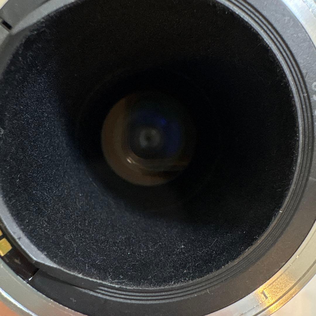 Canon EF 300mm 1:4 L ウルトラソニック