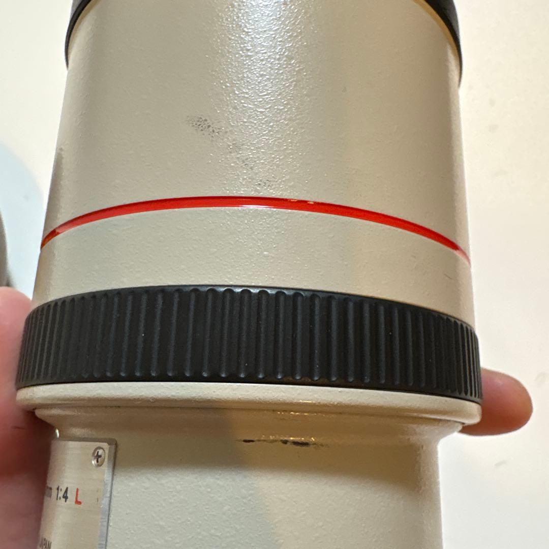 Canon EF 300mm 1:4 L ウルトラソニック