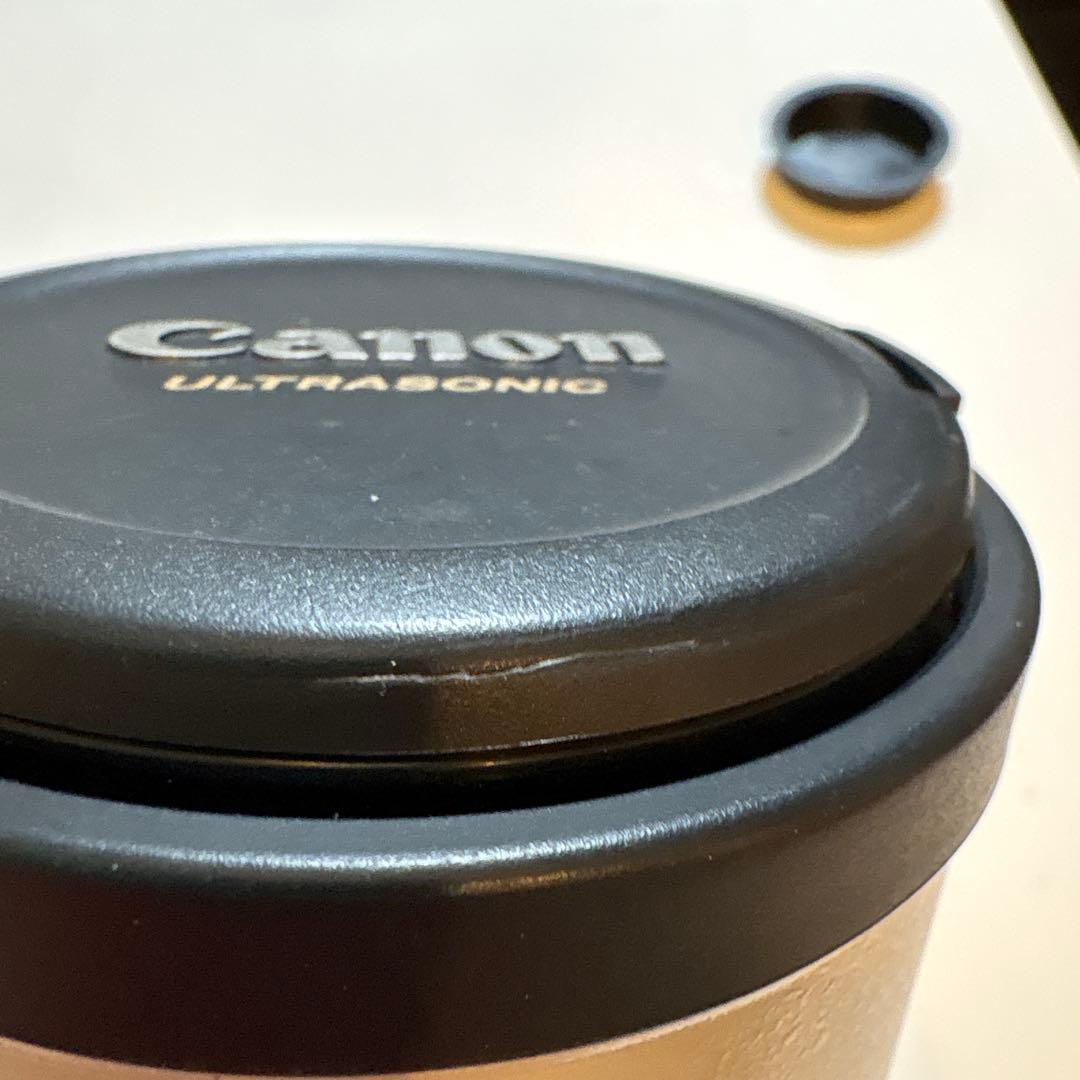 Canon EF 300mm 1:4 L ウルトラソニック