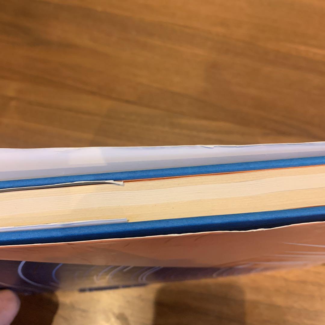 James.rosenquist  1970-2010 洋書 アート