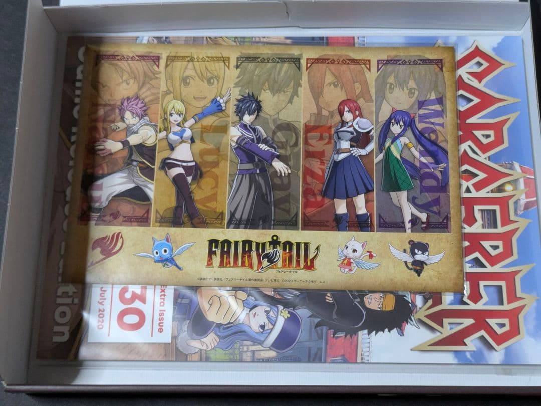 Switch FAIRY TAIL フェアリーテイル GUILD BOX