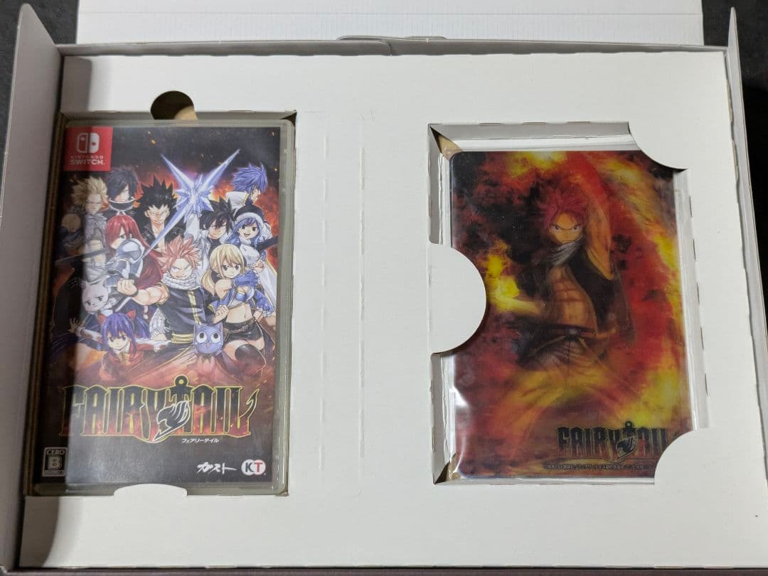 Switch FAIRY TAIL フェアリーテイル GUILD BOX