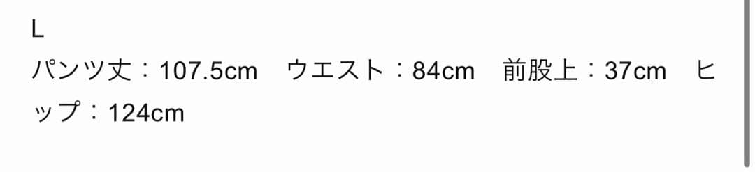 Blue Monteブルーモンテ / ライトワークパンツ カーゴパンツ