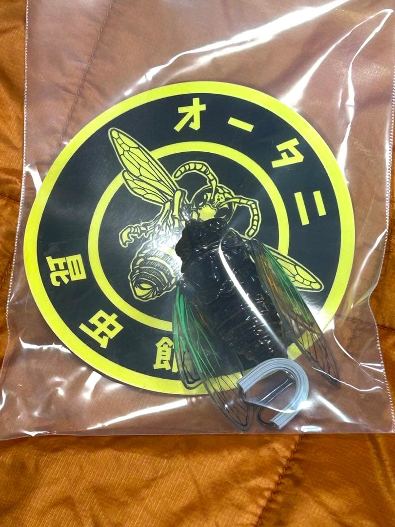 ★新品未使用品‼️オータニ昆虫館SEMI ・セミ★入手難※希少★