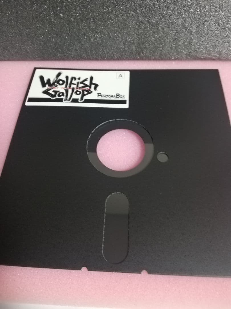 【PC-9801用ソフト】　ウルフィッシュ・ギャロップ　ソロモンの遺産