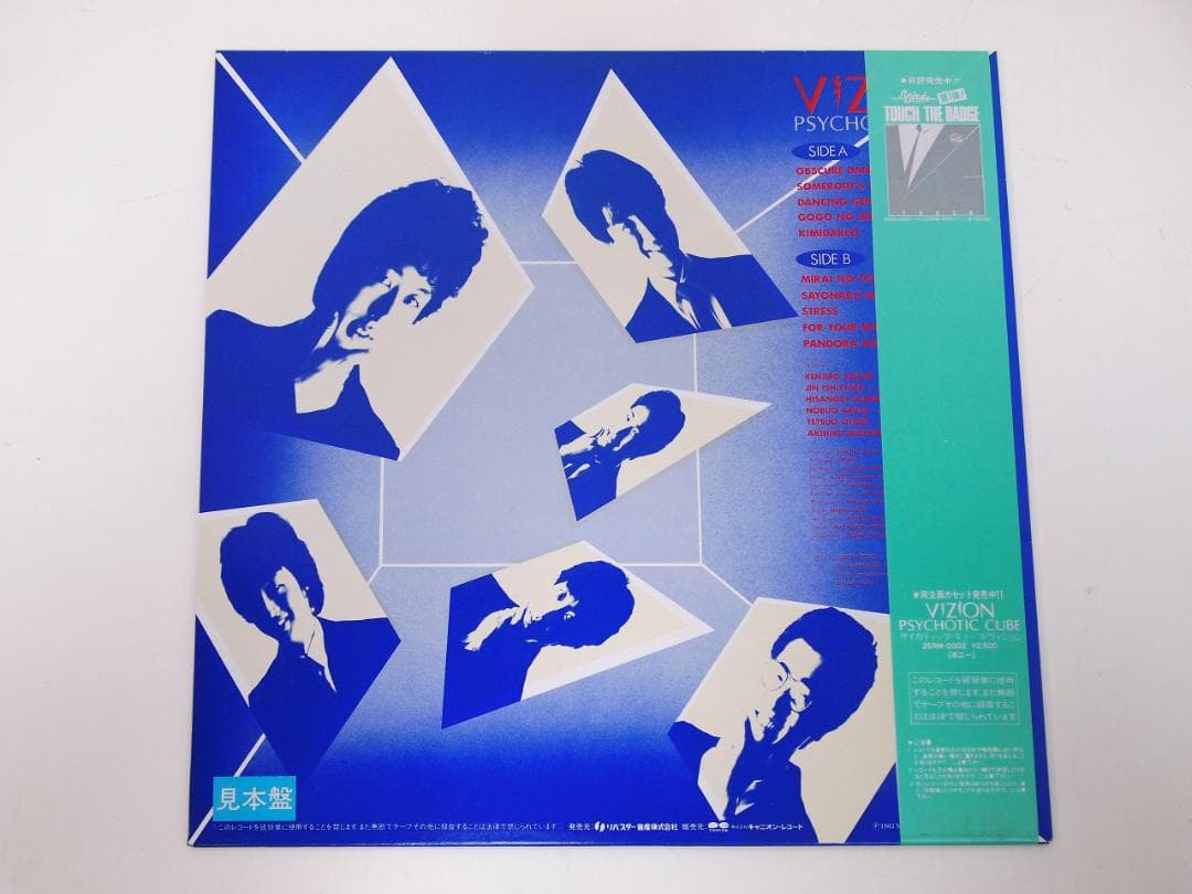 美品！見本盤 プロモ PROMO サイカティック・キューブ / ヴィジョン