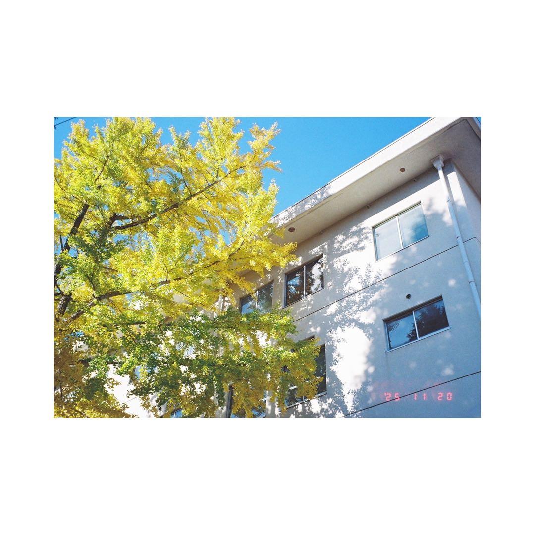 ⌘完動品！ 電池付き、作例あり！ OLYMPUS μ ZOOM 115D⌘