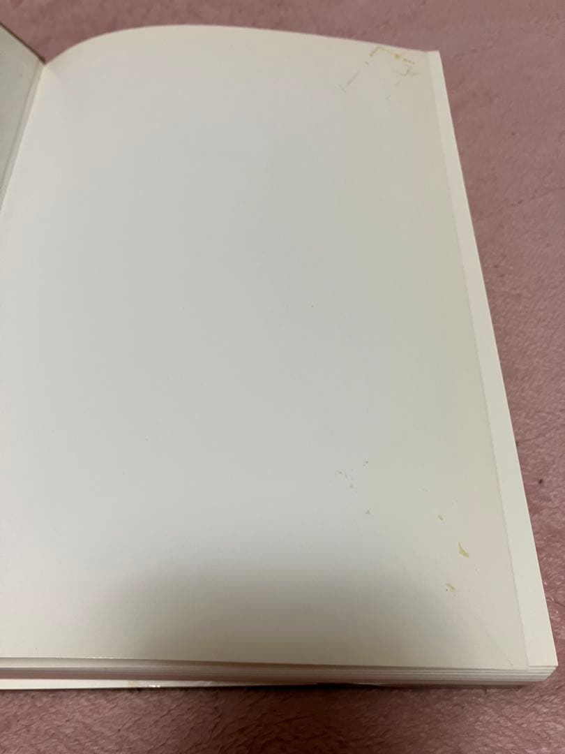 Juergen Teller GO-SEES ユルゲンテラー